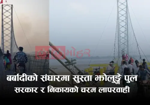 बर्बादीको संघारमा सुस्ता झोलुङ्गे पुल : सरकार र सम्बन्धित निकायको चरम लापरवाही