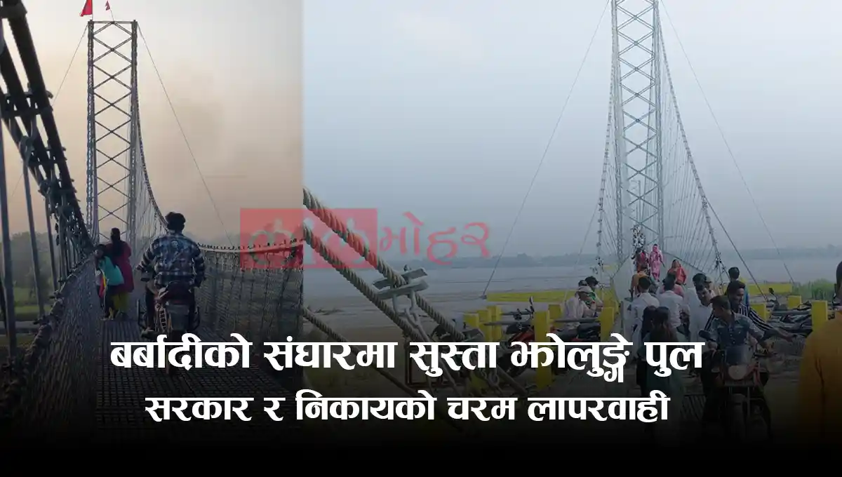 बर्बादीको संघारमा सुस्ता झोलुङ्गे पुल : सरकार र सम्बन्धित निकायको चरम लापरवाही