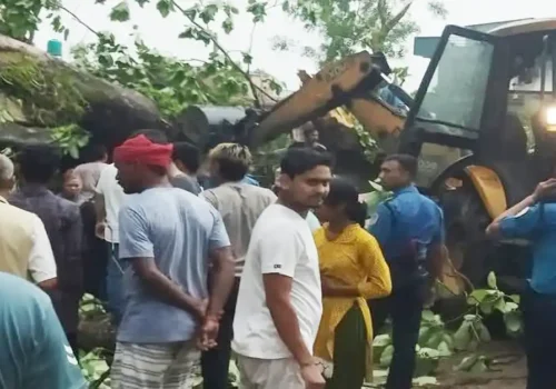 हावाहुरीले निम्त्यायो विपत्ति: सुनवल-७ चारपालामा रुखले च्याप्दा घाइते, उद्धार कार्य जारी